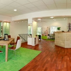 Optik Schlierf